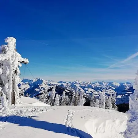 Dreilaerchenhaus 브릭센임탈