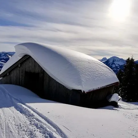 Dreilaerchenhaus Lejlighed