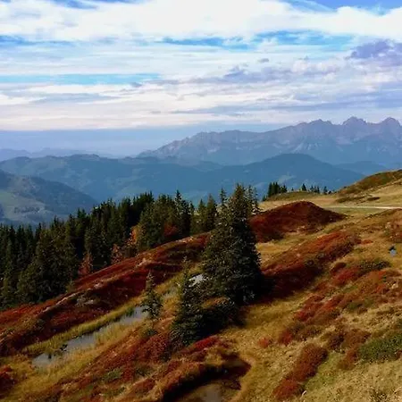 Dreilaerchenhaus 아파트 *