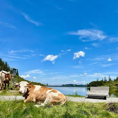 Dreilaerchenhaus Lejlighed