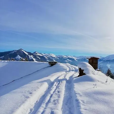 Dreilärchenhaus Brixen im Thale