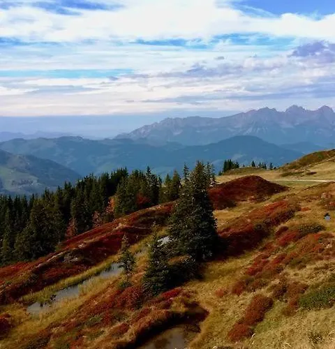 Dreilaerchenhaus Διαμέρισμα *