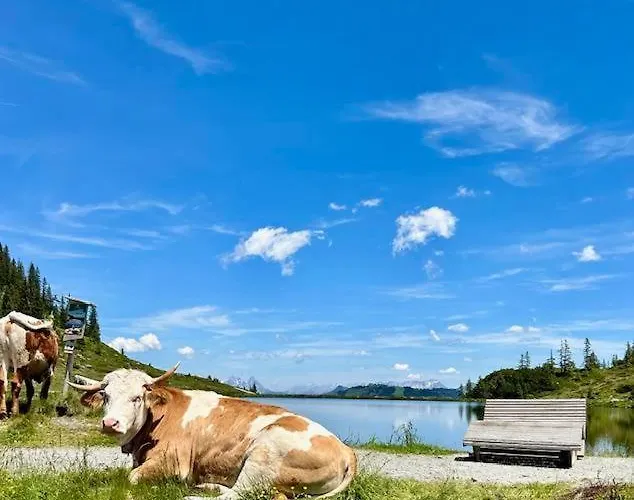 Dreilaerchenhaus Διαμέρισμα